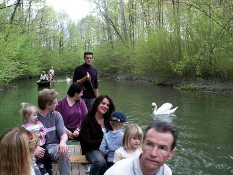 im Rheinauenwald finden Sie ausschließlich einen Laubmischwald vor