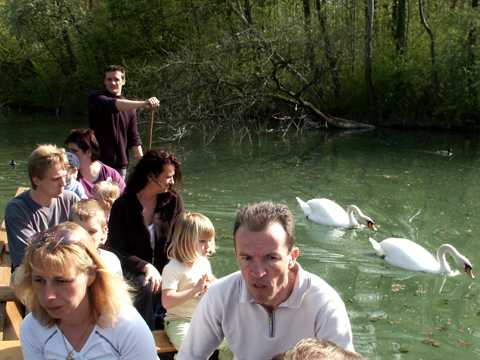 Im Fischerkahn durch den Urwald, und dabei die Schwäne füttern