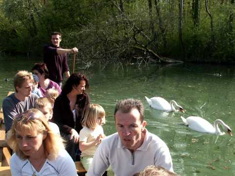 Im Fischerkahn durch den Urwald, und dabei die Schwne fttern