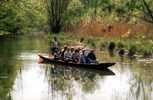 Idyllische Motive im Naturschutzgebiet Taubergieen - im Sommer