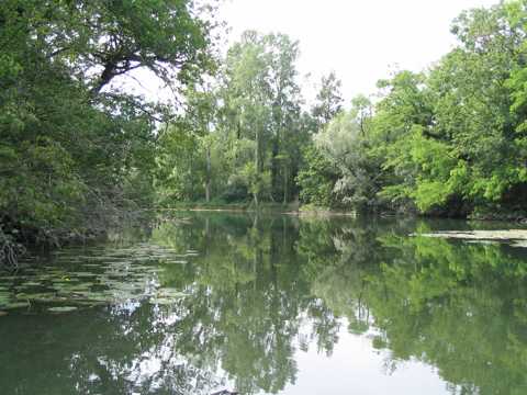 "Gieen" sind von Grundwasser gespeiste Fliegewsser