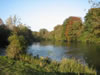 Herbst im Taubergiessen