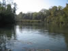 Herbst im Taubergiessen