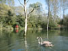 Herbst im Taubergiessen