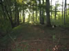 Herbst im Taubergiessen