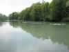 Sommer im Taubergiessen