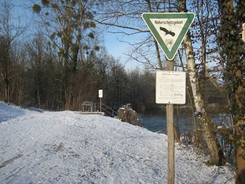 Winterzeit im Taubergiessen